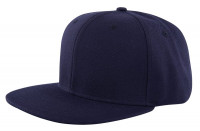 Navy (PMS 533c) / navy