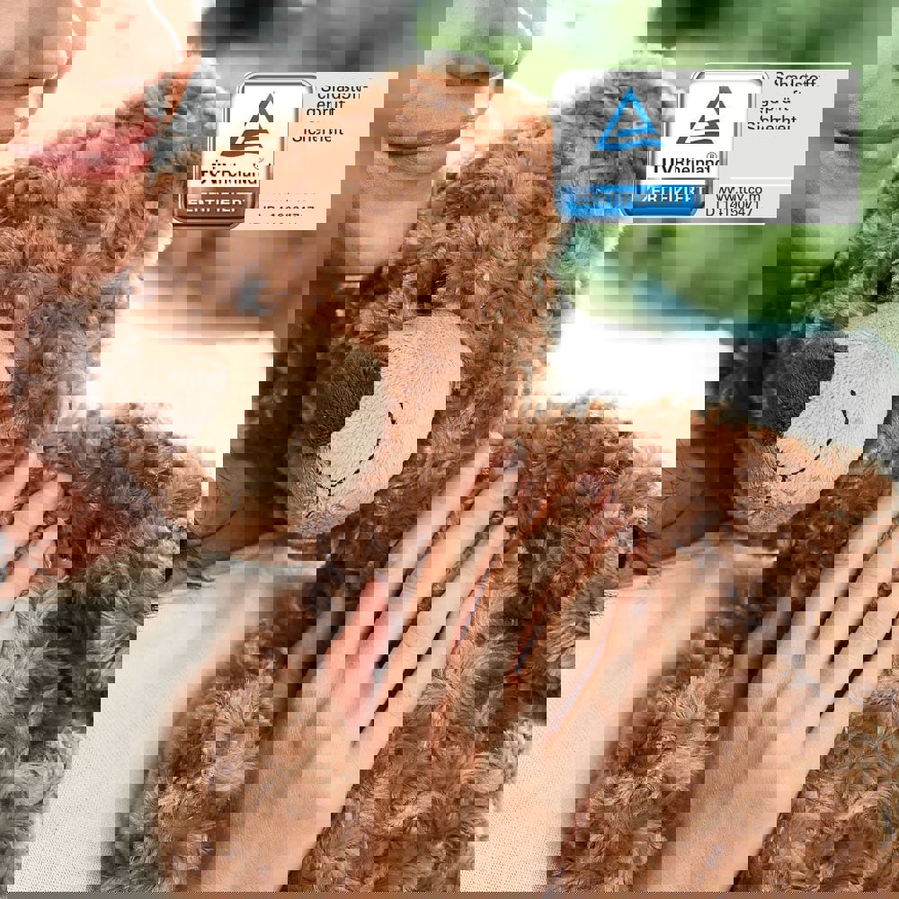 Bär Bodo, beige, XL