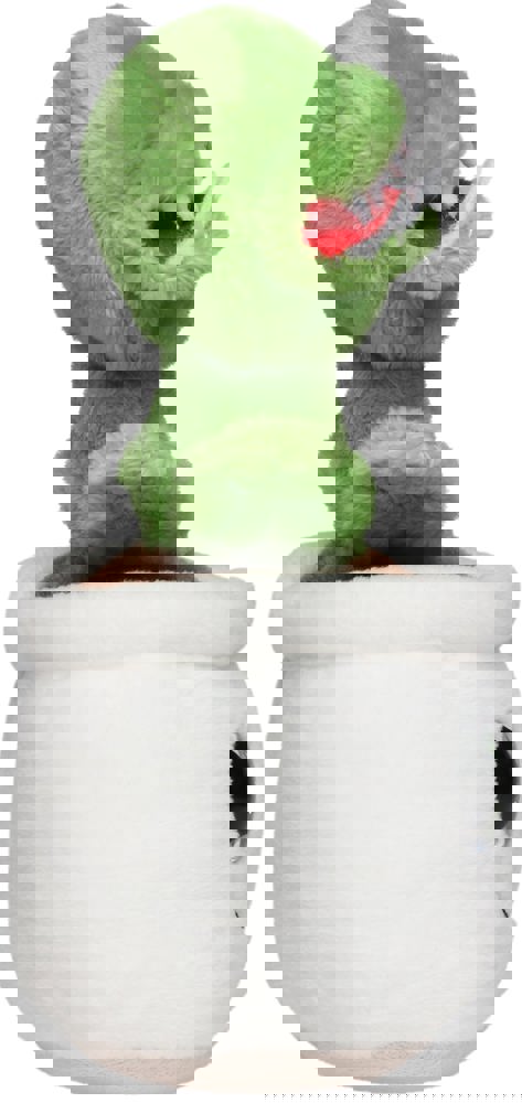 Schmoozies® Evergreenies® Venusfliegenfalle, multicolour, one size