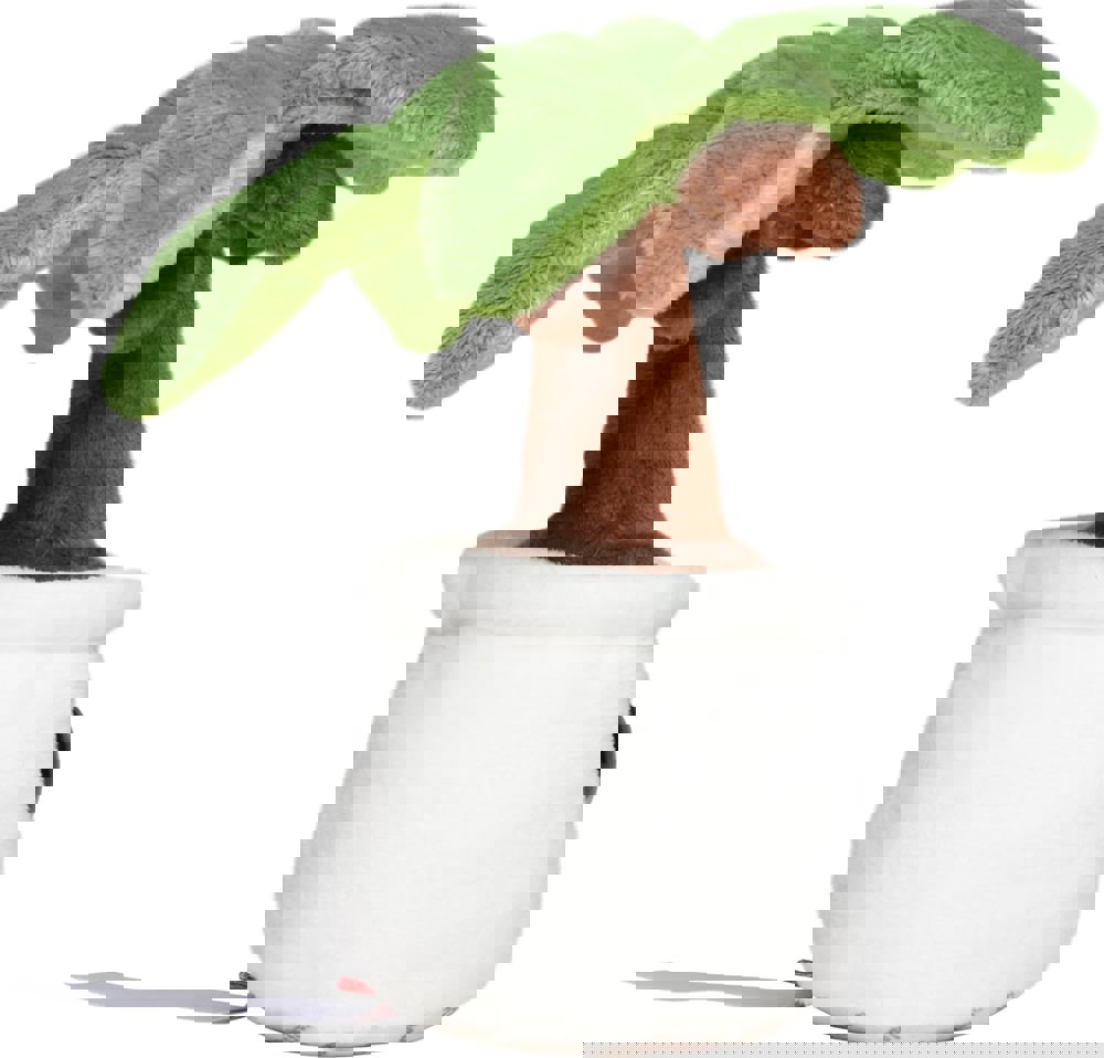 Schmoozies® Evergreenies® Palme, multicolour, one size