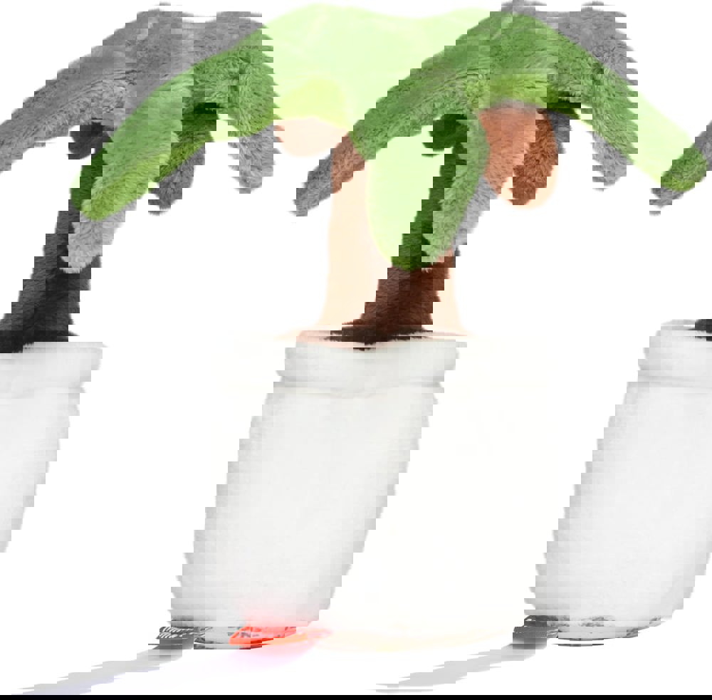 Schmoozies® Evergreenies® Palme, multicolour, one size