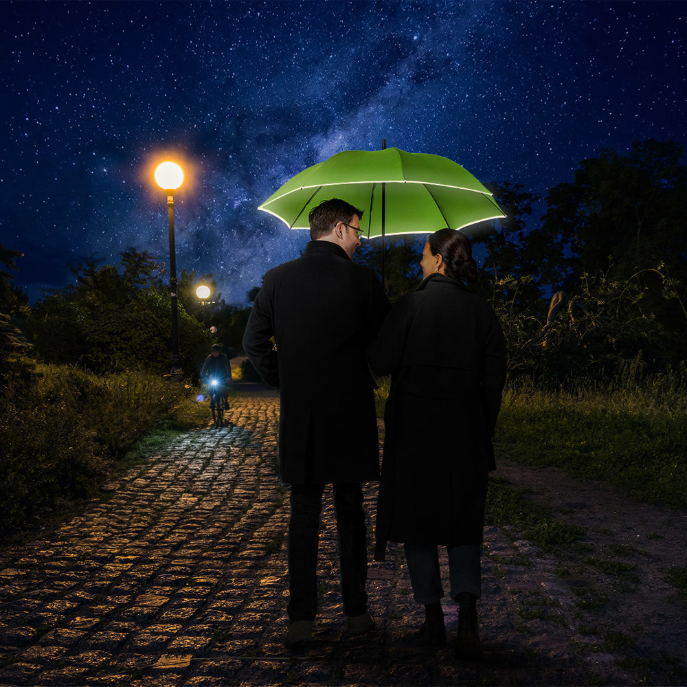 4375 AC-Midsize-Stockschirm FARE® Windmatic®