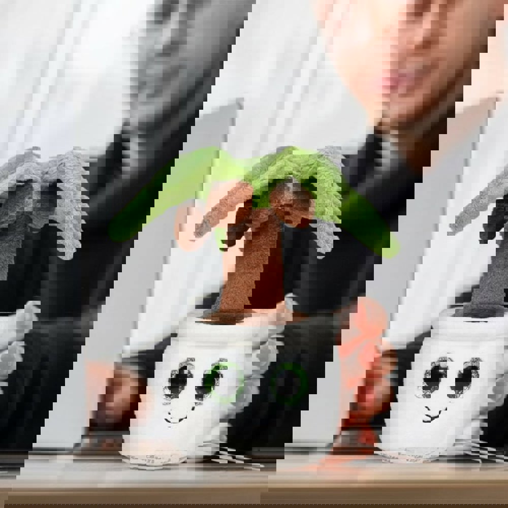 Schmoozies® Evergreenies® Palme, multicolour, one size