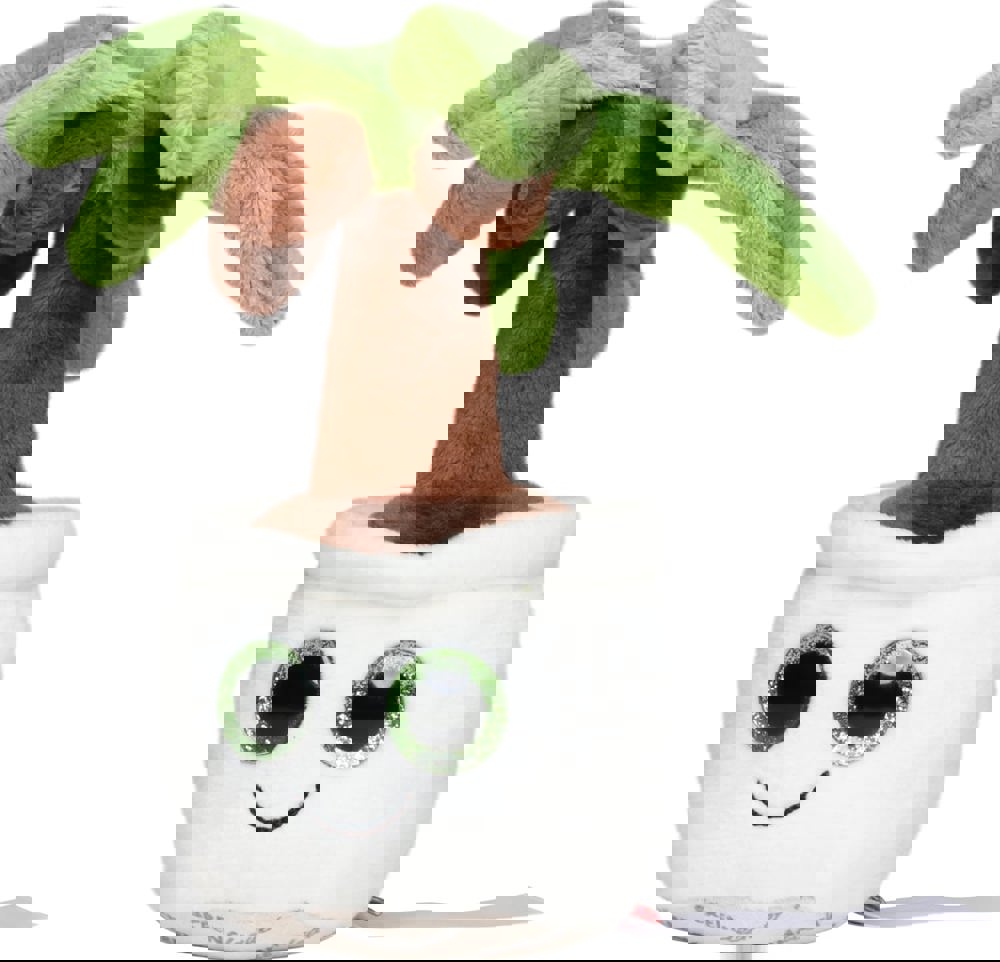 Schmoozies® Evergreenies® Palme, multicolour, one size